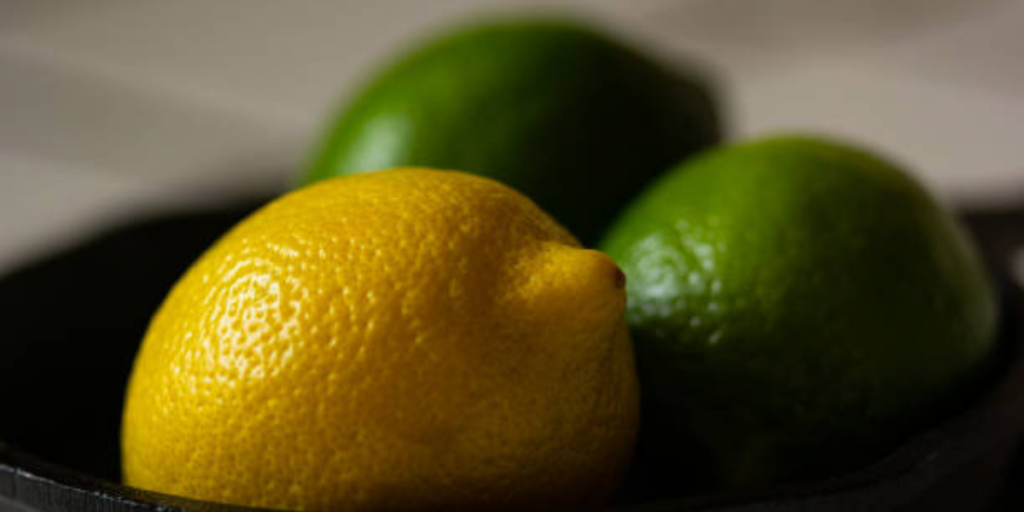 nettoyer-fer à repasser-citron